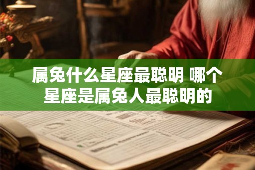 属兔什么星座最聪明 哪个星座是属兔人最聪明的
