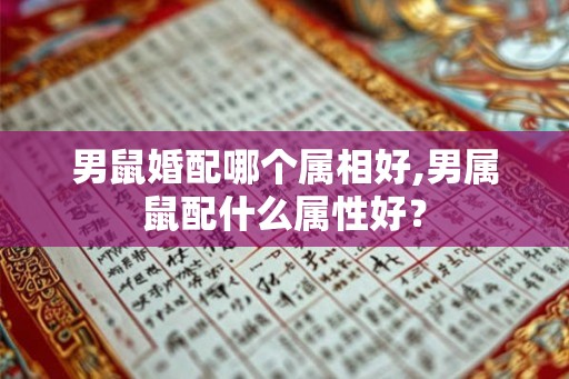 男鼠婚配哪个属相好,男属鼠配什么属性好？