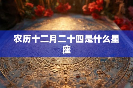 农历十二月二十四是什么星座