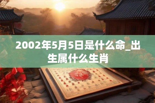 2002年5月5日是什么命_出生属什么生肖
