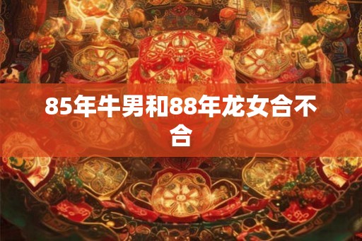 85年牛男和88年龙女合不合