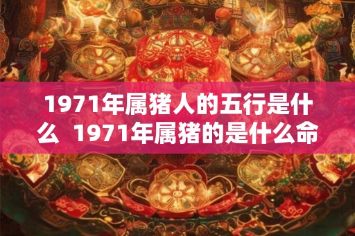 1971年属猪人的五行是什么  1971年属猪的是什么命