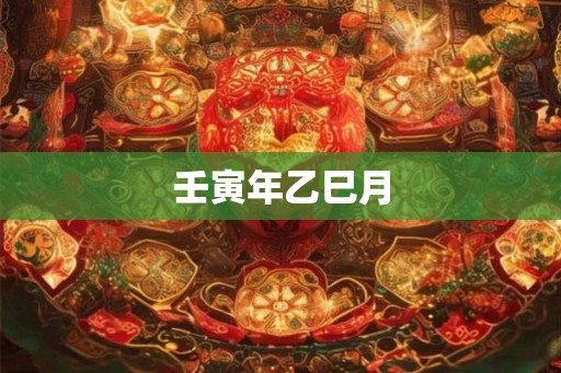 壬寅年乙巳月