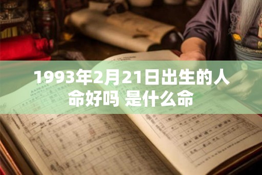 1993年2月21日出生的人命好吗 是什么命