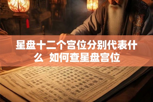 星盘十二个宫位分别代表什么  如何查星盘宫位