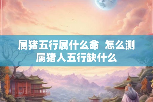 属猪五行属什么命 怎么测属猪人五行缺什么 属猪五行属什么命 怎么测属猪人五行缺什么