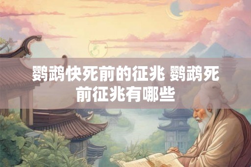 鹦鹉快死前的征兆 鹦鹉死前征兆有哪些