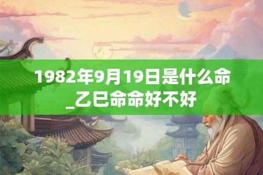 1982年9月19日是什么命_乙巳命命好不好