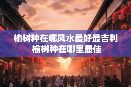 榆树种在哪风水最好最吉利 榆树种在哪里最佳