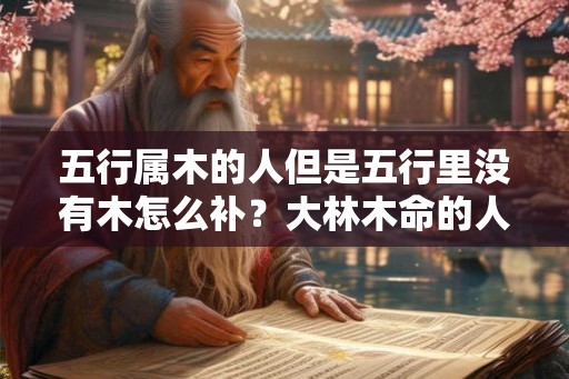 五行属木的人但是五行里没有木怎么补？大林木命的人适合做什么行业？