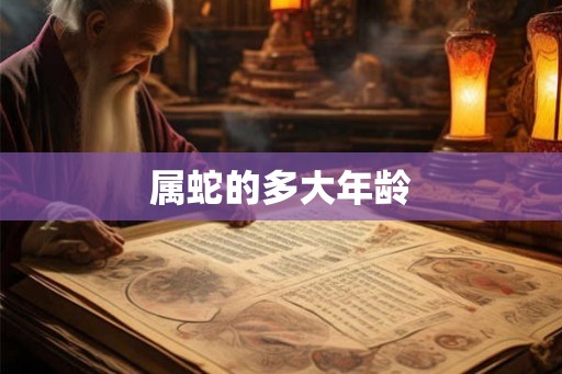 属蛇的多大年龄 属蛇的多大年龄