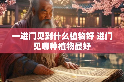 一进门见到什么植物好 进门见哪种植物最好