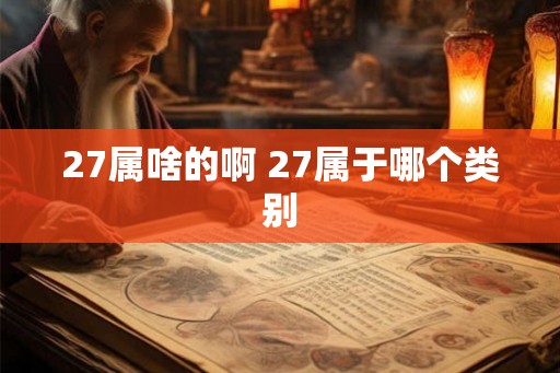 27属啥的啊 27属于哪个类别