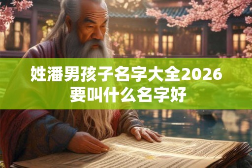 姓潘男孩子名字大全2026 要叫什么名字好
