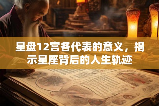 星盘12宫各代表的意义,揭示星座背后的人生轨迹 星盘12宫各代表的意义,揭示星座背后的人生轨迹