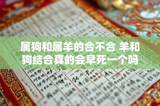 属狗和属羊的合不合 羊和狗结合真的会早死一个吗 属狗和属羊的合不合 羊和狗结合真的会早死一个吗