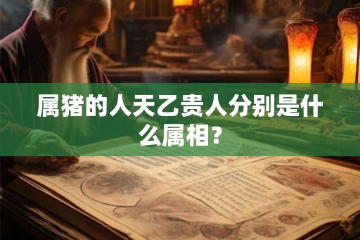 属猪的人天乙贵人分别是什么属相？