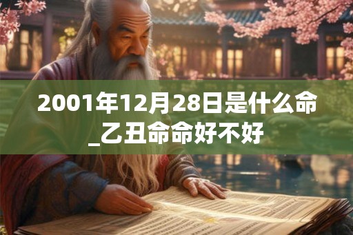 2001年12月28日是什么命_乙丑命命好不好