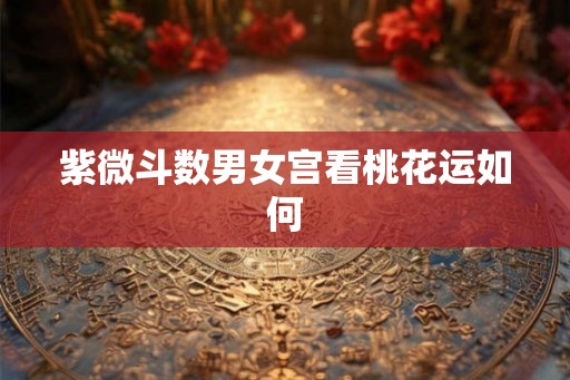 紫微斗数男女宫看桃花运如何