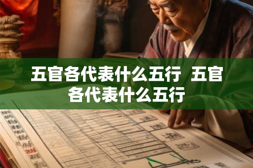 五官各代表什么五行  五官各代表什么五行