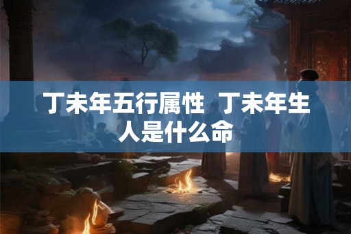 丁未年五行属性  丁未年生人是什么命