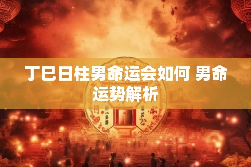 丁巳日柱男命运会如何 男命运势解析