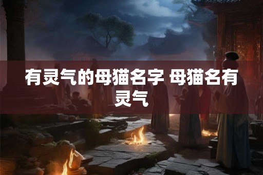 有灵气的母猫名字 母猫名有灵气
