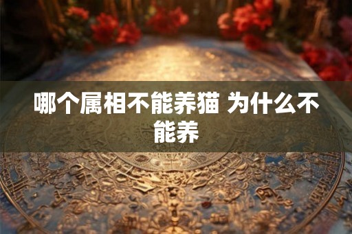 哪个属相不能养猫 为什么不能养