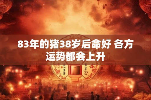 83年的猪38岁后命好 各方运势都会上升