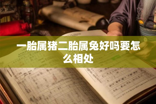 一胎属猪二胎属兔好吗要怎么相处 一胎属猪二胎属兔好吗要怎么相处