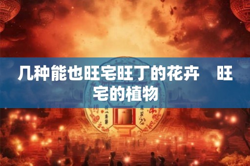 几种能也旺宅旺丁的花卉　旺宅的植物
