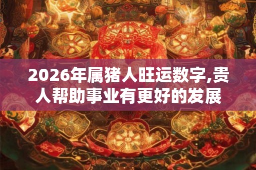 2026年属猪人旺运数字,贵人帮助事业有更好的发展