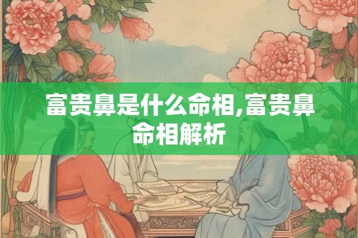 富贵鼻是什么命相,富贵鼻命相解析