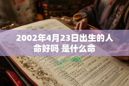 2002年4月23日出生的人命好吗 是什么命