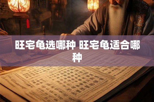 旺宅龟选哪种 旺宅龟适合哪种