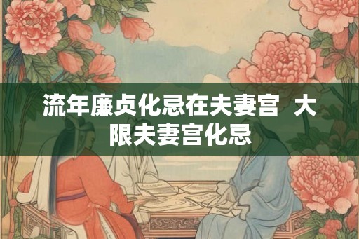 流年廉贞化忌在夫妻宫 大限夫妻宫化忌 流年廉贞化忌在夫妻宫 大限夫妻宫化忌