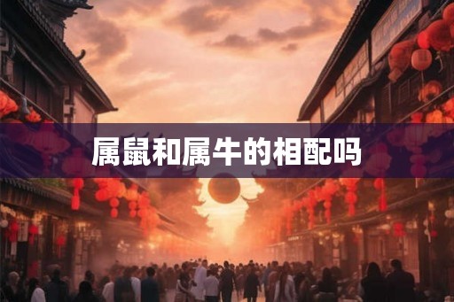 属鼠和属牛的相配吗