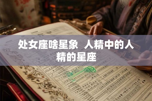 处女座啥星象  人精中的人精的星座