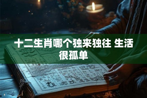十二生肖哪个独来独往 生活很孤单
