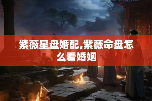 紫薇星盘婚配,紫薇命盘怎么看婚姻