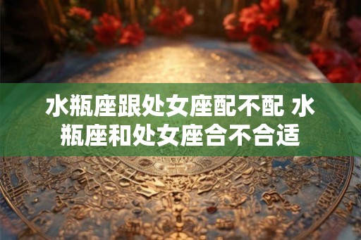 水瓶座跟处女座配不配 水瓶座和处女座合不合适