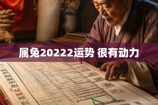 属兔20222运势 很有动力