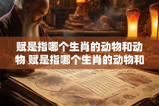 赋是指哪个生肖的动物和动物 赋是指哪个生肖的动物和动物名字 赋是指哪个生肖的动物和动物 赋是指哪个生肖的动物和动物名字
