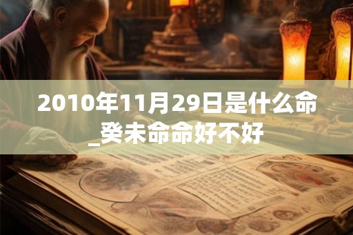 2010年11月29日是什么命_癸未命命好不好