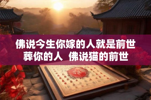 佛说今生你嫁的人就是前世葬你的人  佛说猫的前世