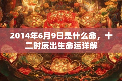 2014年6月9日是什么命，十二时辰出生命运详解
