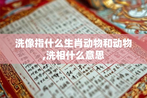 洗像指什么生肖动物和动物,洗相什么意思