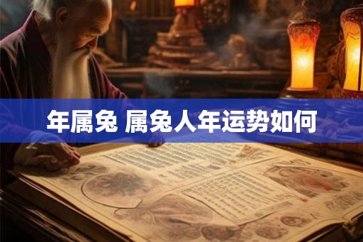 年属兔 属兔人年运势如何