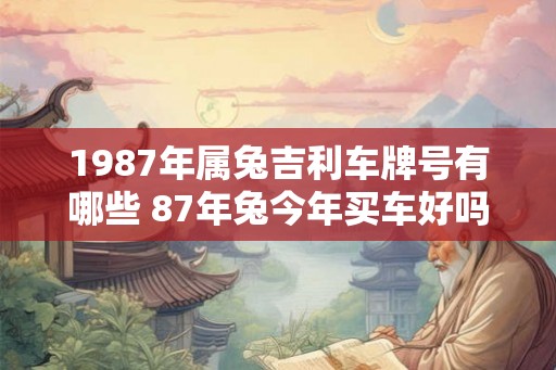 1987年属兔吉利车牌号有哪些 87年兔今年买车好吗