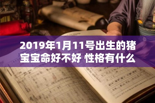 2019年1月11号出生的猪宝宝命好不好 性格有什么特点